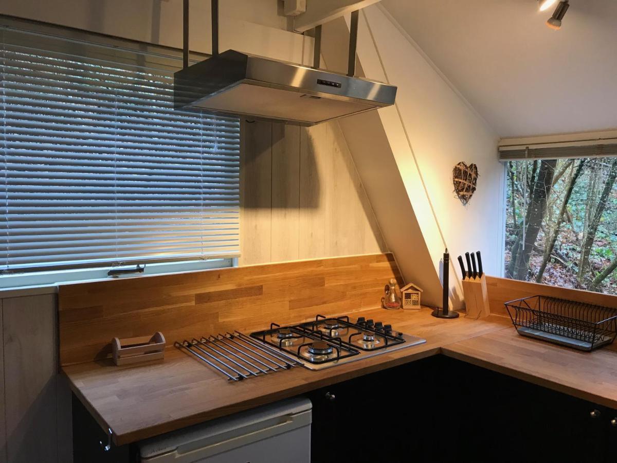 Heavenly Renovated Cabin Near Pittoresque Durbuy - Whistler Villa Luaran gambar