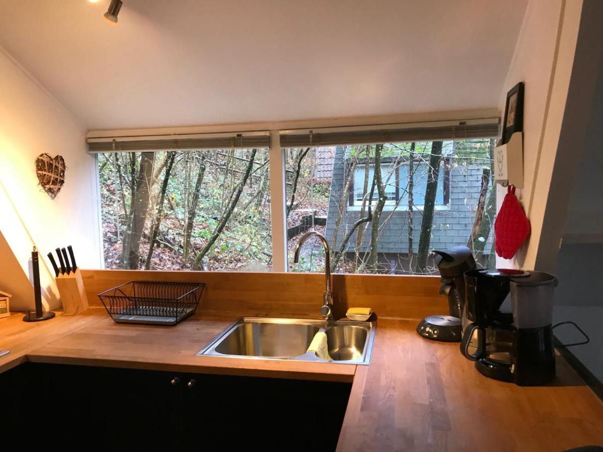 Heavenly Renovated Cabin Near Pittoresque Durbuy - Whistler Villa Luaran gambar