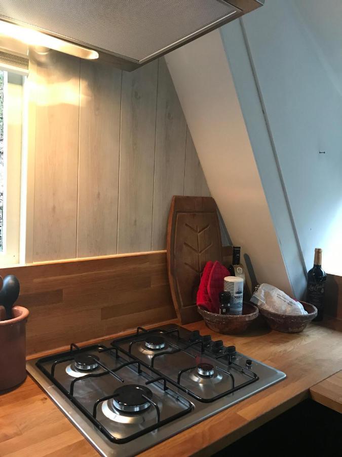 Heavenly Renovated Cabin Near Pittoresque Durbuy - Whistler Villa Luaran gambar