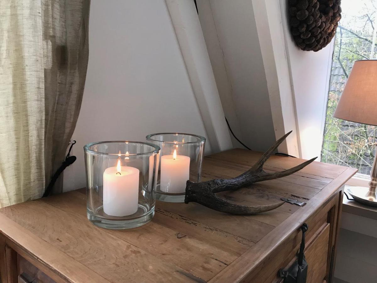 Heavenly Renovated Cabin Near Pittoresque Durbuy - Whistler Villa Luaran gambar